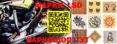 PSILOCYBIN Кимры