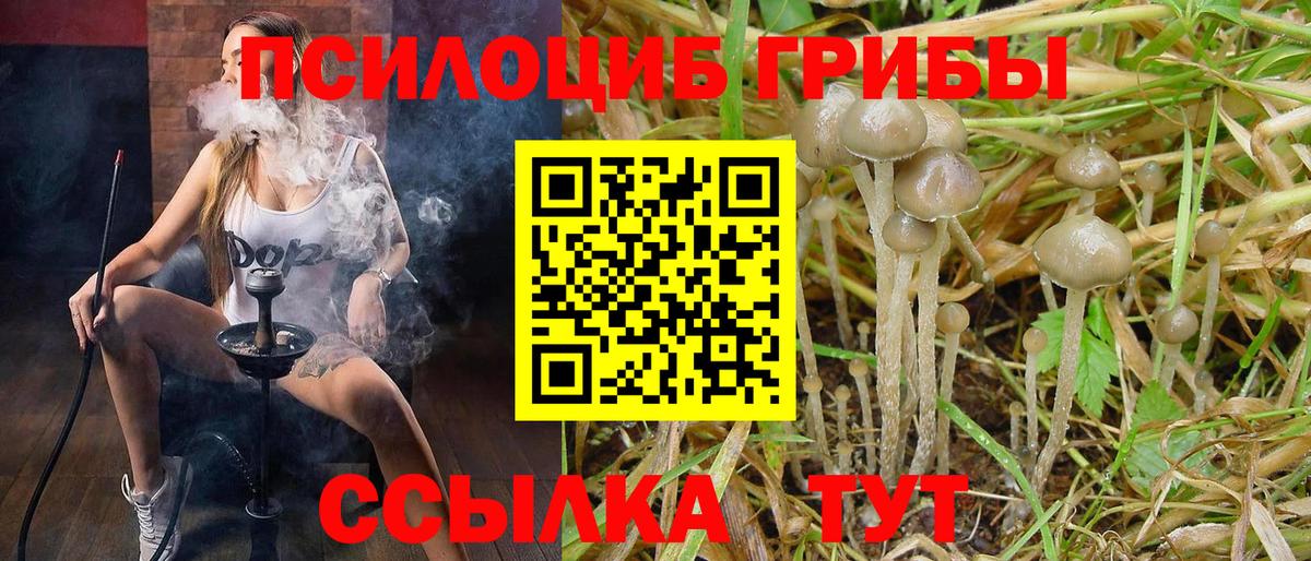 Псилоцибиновые грибы ЛСД  Вход с VPN  Галлюциногенные грибы Cubensis  Крымск 